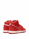 NIKE DUNK HIGH FIRST USE